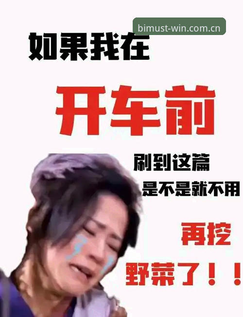 新手不走弯路：BSport必一体育资深用户分享“BSports新手教程使用技巧”实战心得